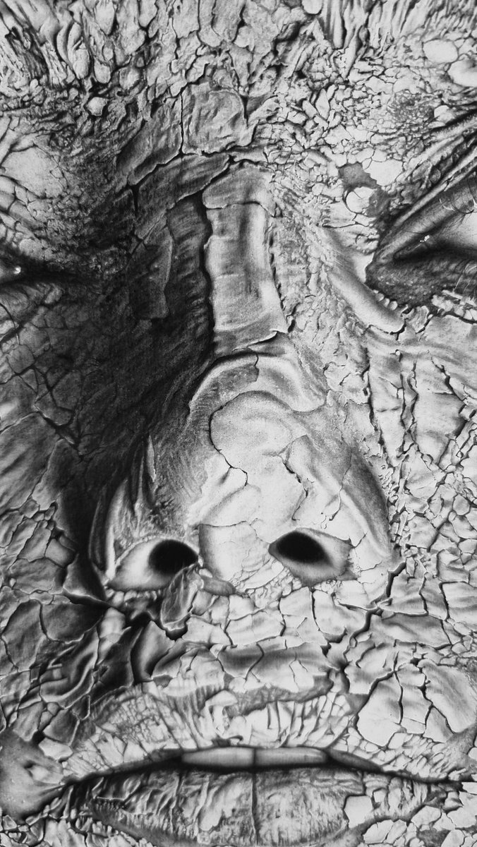 SVosughian's tweet photo. Details of my pencil drawing https://t.co/5pN0HRFR4o