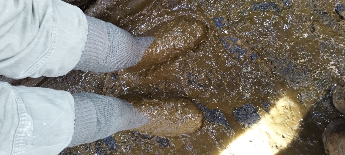 GummistiefelK's tweet photo. Stallarbeit 
🤠🐄💩💩💩🧦🧦🧦😜 https://t.co/qtBV2Rel8x