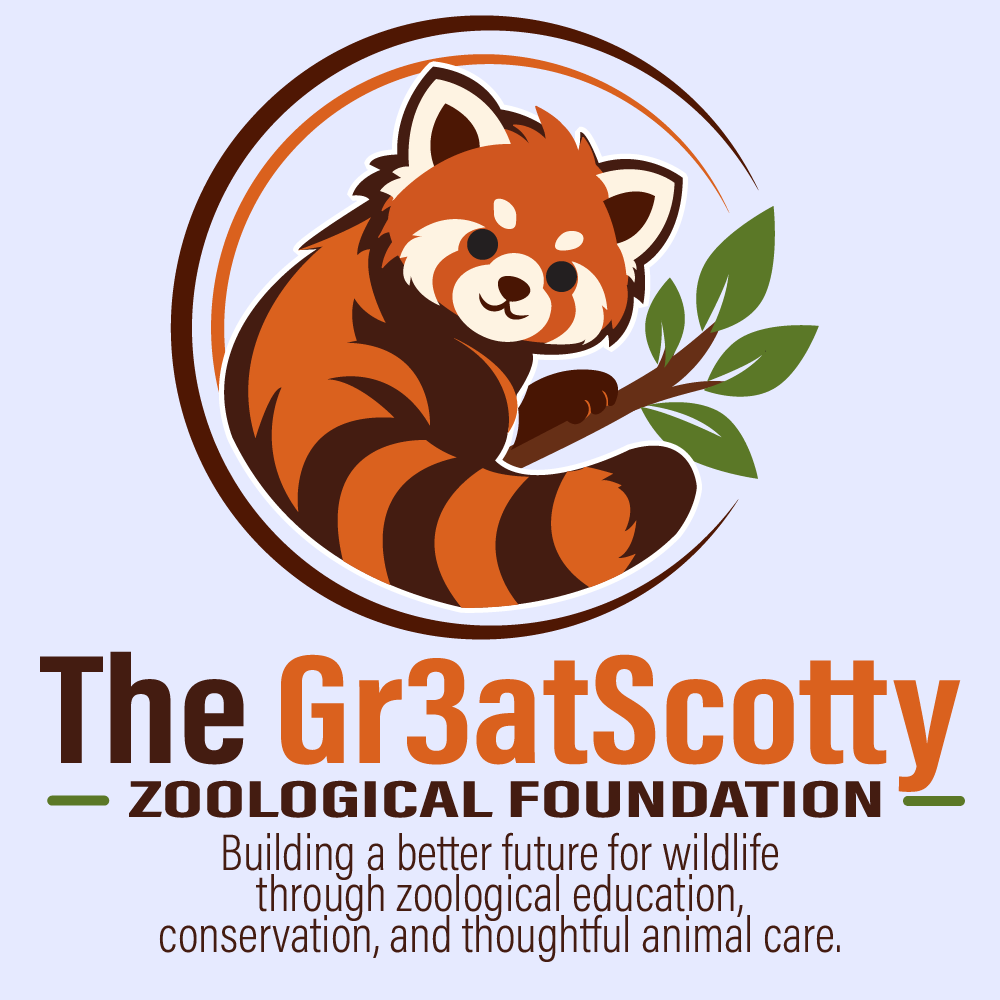 gr3atscotty's tweet photo. Planet Zoo 2 is almost here! 🦁 My first project will be Gr3atScotty’s Zoo—the founding institution of The Gr3atScotty Zoological Foundation, built around zoological education, conservation, and thoughtful animal care. 🌿
@PlanetZooGame #planetzoo2 https://t.co/sHqBdEPHAL