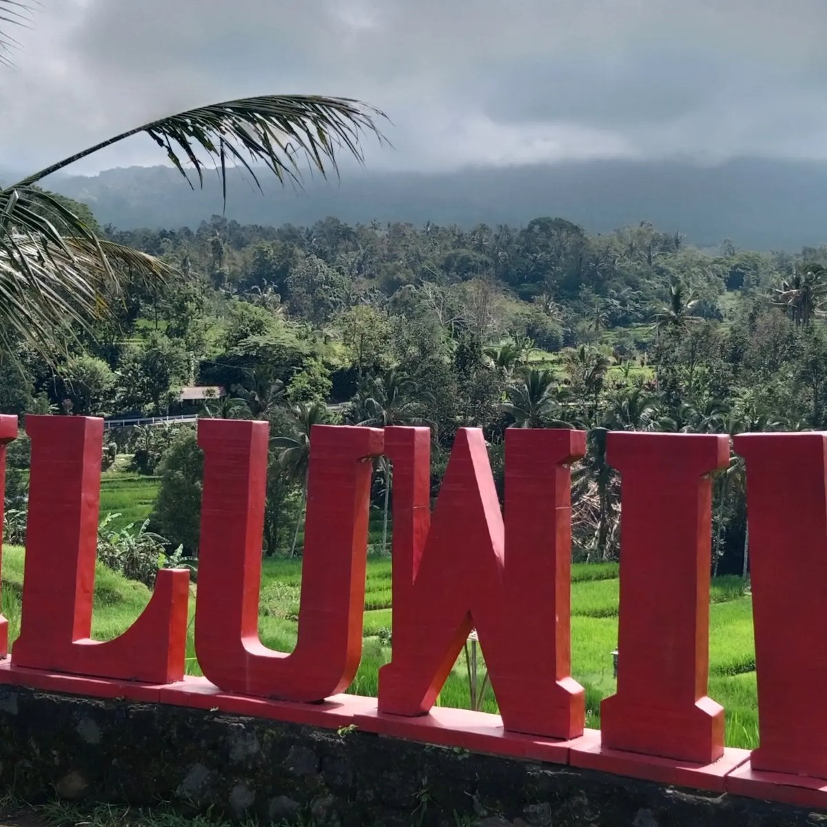 cliftonpar6wp's tweet photo. Terrazas de arroz de Bali, declaradas Patrimonio de la Humanidad. https://t.co/hU4chRZifE