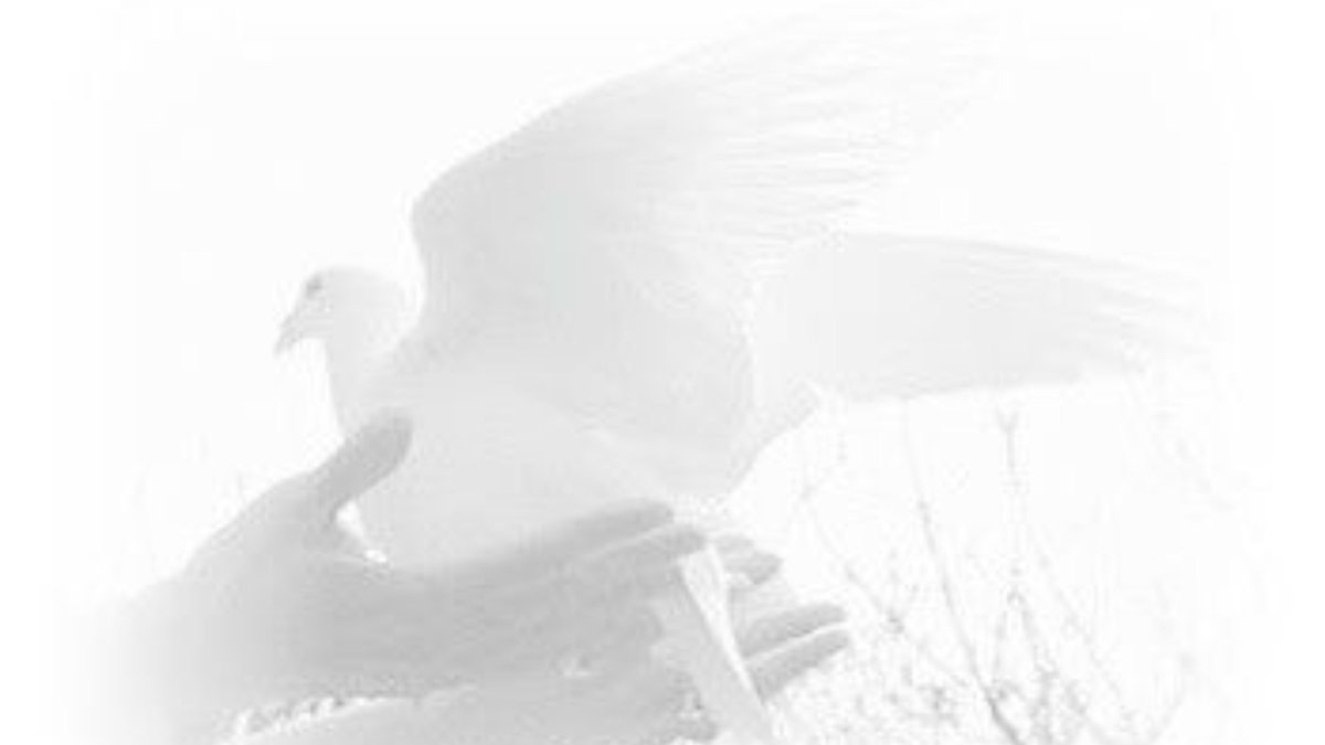 Eliasforlorn's tweet photo. Elíasㅤㅤㅤﾉㅤㅤㅤ Moth
ㅤㅤㅤㅤ              
  ㅤㅤ✝︎            #promotwt 𐅛 

        Intpㅤㅤㅤㅤㅤ  heﾉhim  

   ndni          ♡︭ ⠀|⠀↻⠀⠀=⠀m𝗈𝗈t𝗌
 
        #vkeitwt #shedrtwt
              #bsdtwt #holy https://t.co/pr7KaWBHXP