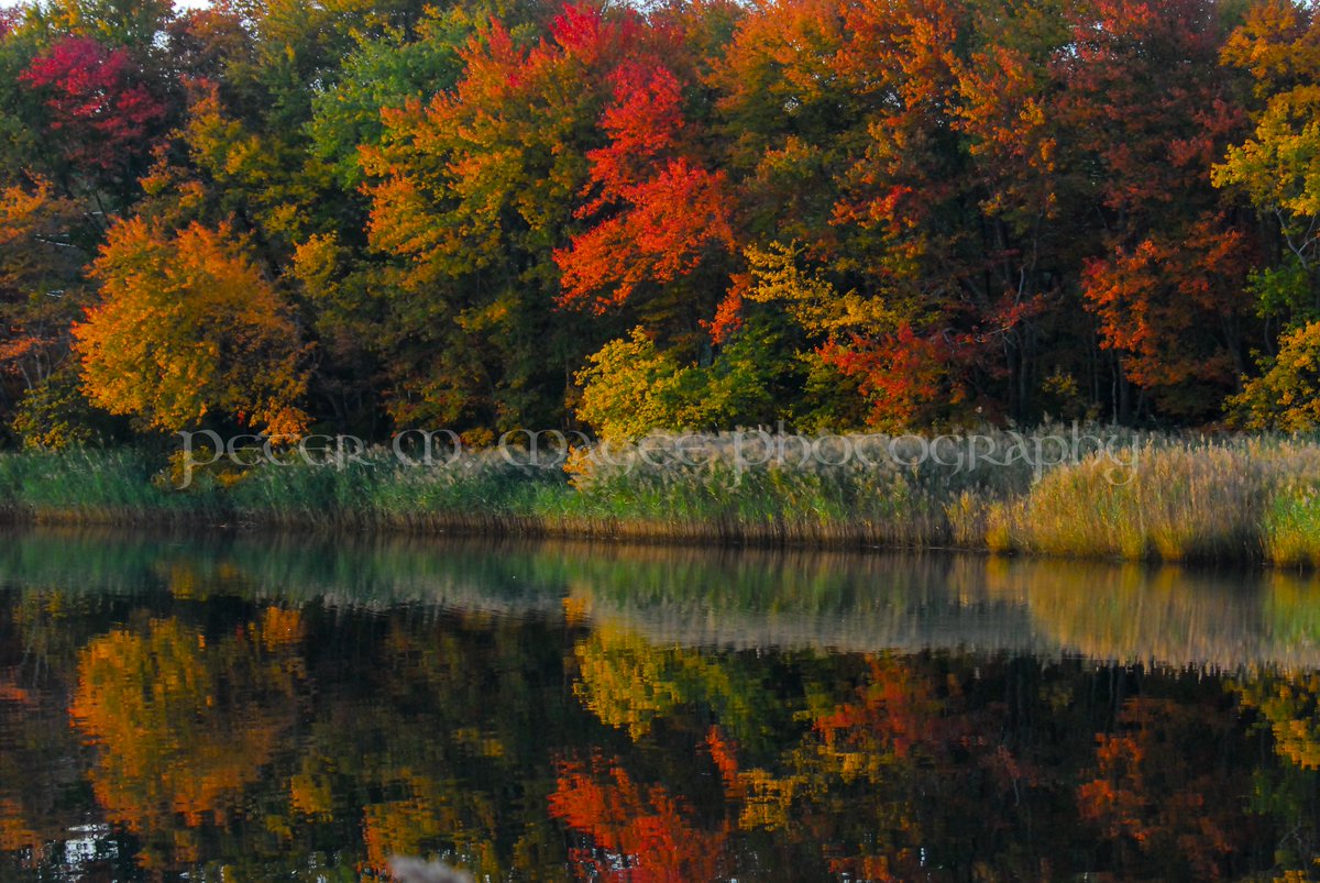mageeimagery tweet picture
