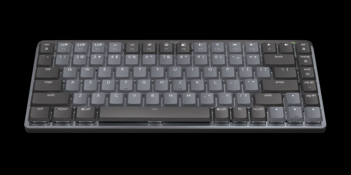 Rando62074's tweet photo. @Cyb4rAnG3L I really like the logitech mx mechanical/mechanical mini. They're fairly boring colors and only white backlight, but I have the quiet switches on it and love them. Low profile keycaps and tactile feeling https://t.co/0Tm87VvMys