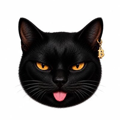 HoodInsiderHB's tweet photo. 🚨 @ZokiEth is now live on Robinhood Chain.

The Bitcoin-first black cat meme coin is bringing its identity to the Robinhood meme ecosystem. https://t.co/J1OVAfQPaV