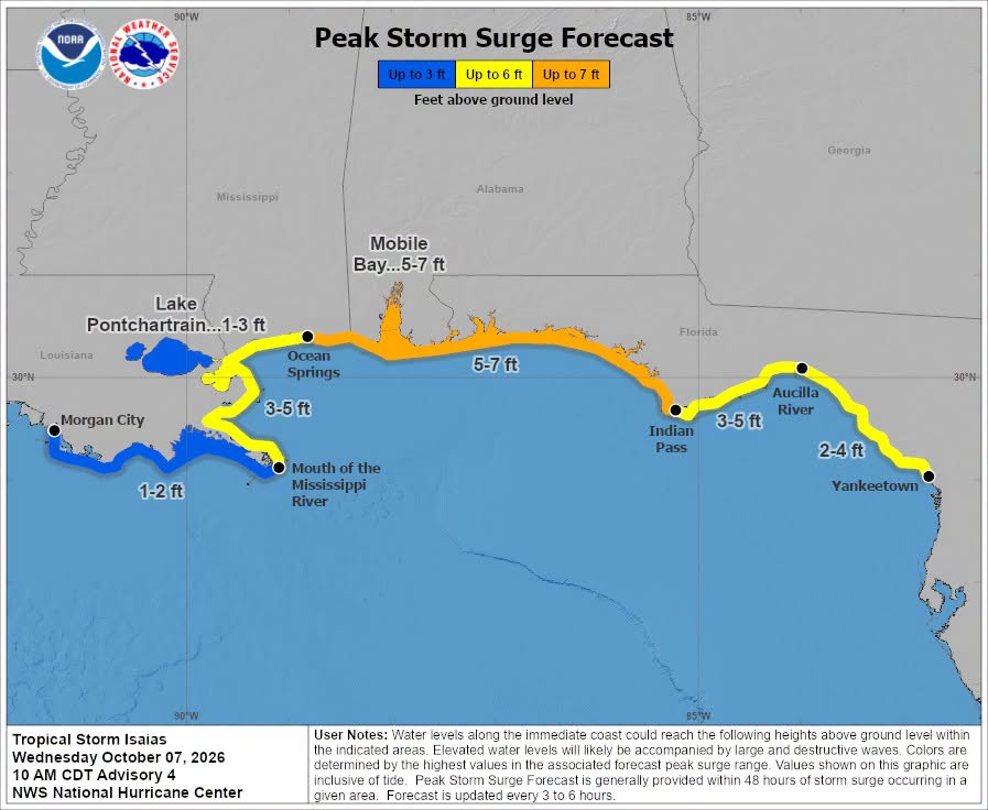 NWSTallahassee's tweet photo. 11am Isaias Update: Tropical Storm/Hurricane Watches now in effect for many coastal locations across the northern Gulf. Storm surge watch in effect as well. #FLwx #ALwx #GAwx https://t.co/7lBH1dc9tt