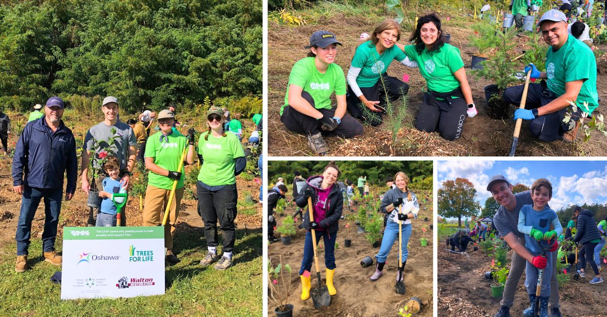 leaf's tweet photo. 🌳 Thank you to everyone who joined us in Vaughan and Oshawa! Together, you planted native trees &amp; shrubs to help grow the urban forest!

Upcoming events: https://t.co/3cjLZ85SHG https://t.co/s6fOEh4Ae2