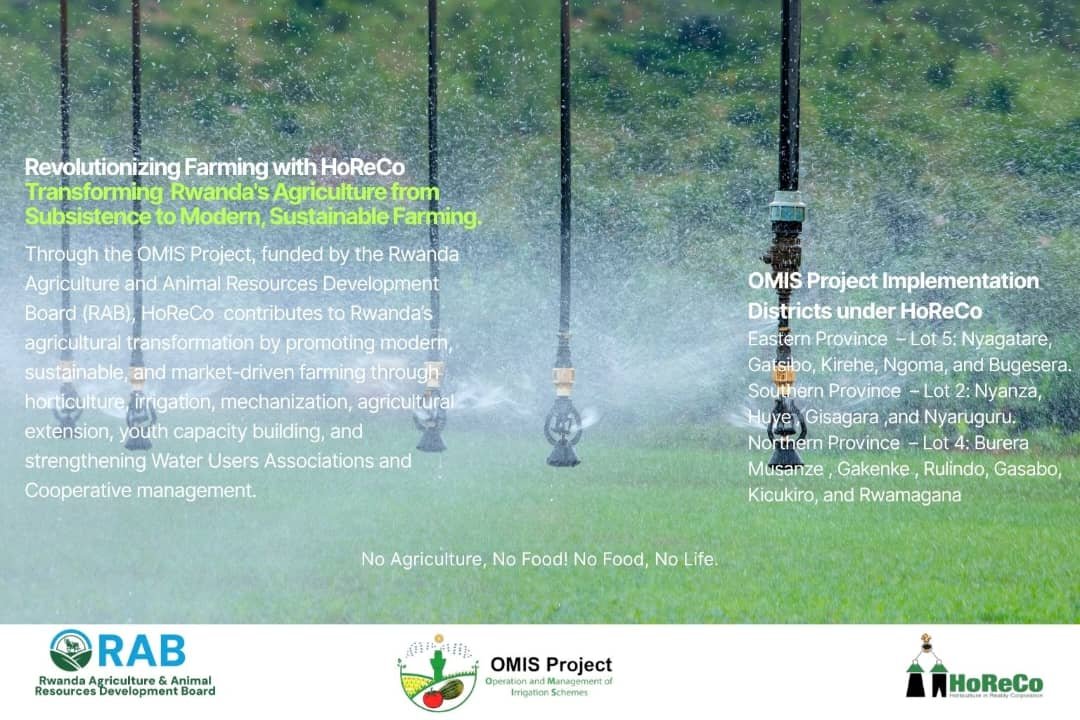 HoReCo_Rw's tweet photo. HoReCo–OMIS Project Glance 

Through the OMIS Project, funded by @RwandaAgriBoard, we are transforming agriculture across 14 districts through irrigation, mechanization, extension services, horticulture, youth capacity building, and stronger farmer cooperatives. https://t.co/UyJgEhjjVG