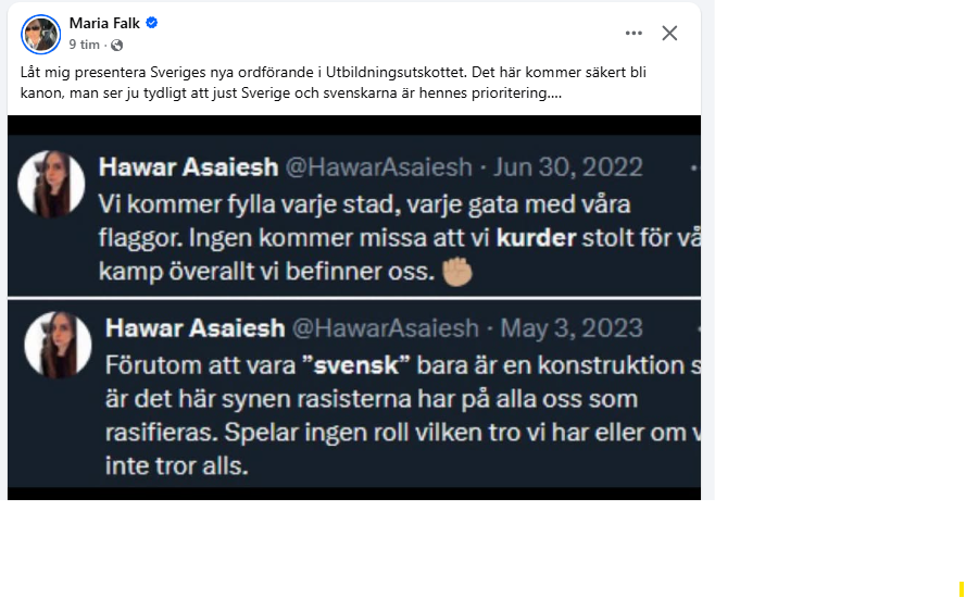 Stort_allvar's tweet photo. Hon ska alltså leda riksdagens utskott för skola, högre utbildning och forskning.
Vad kan gå fel...? https://t.co/9DHilqKvl1