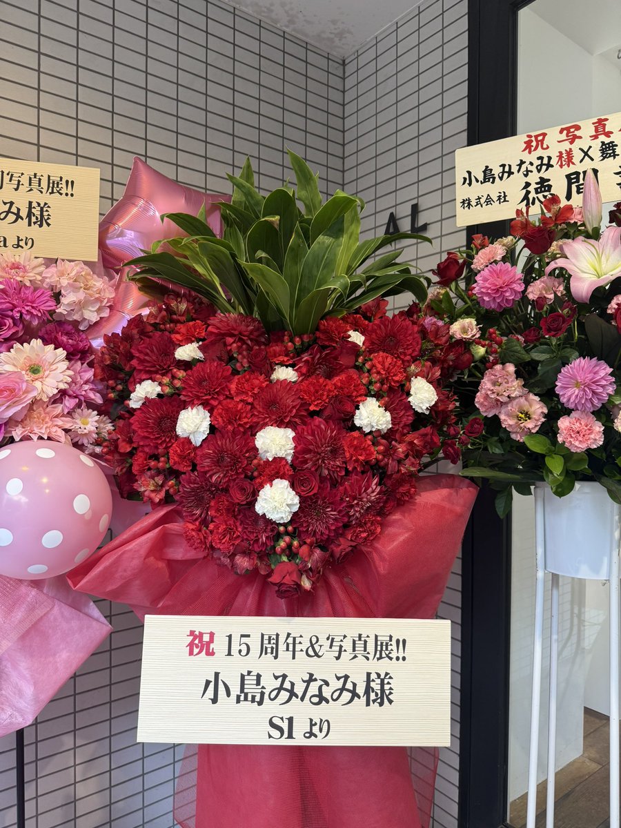 Minami Kojima
