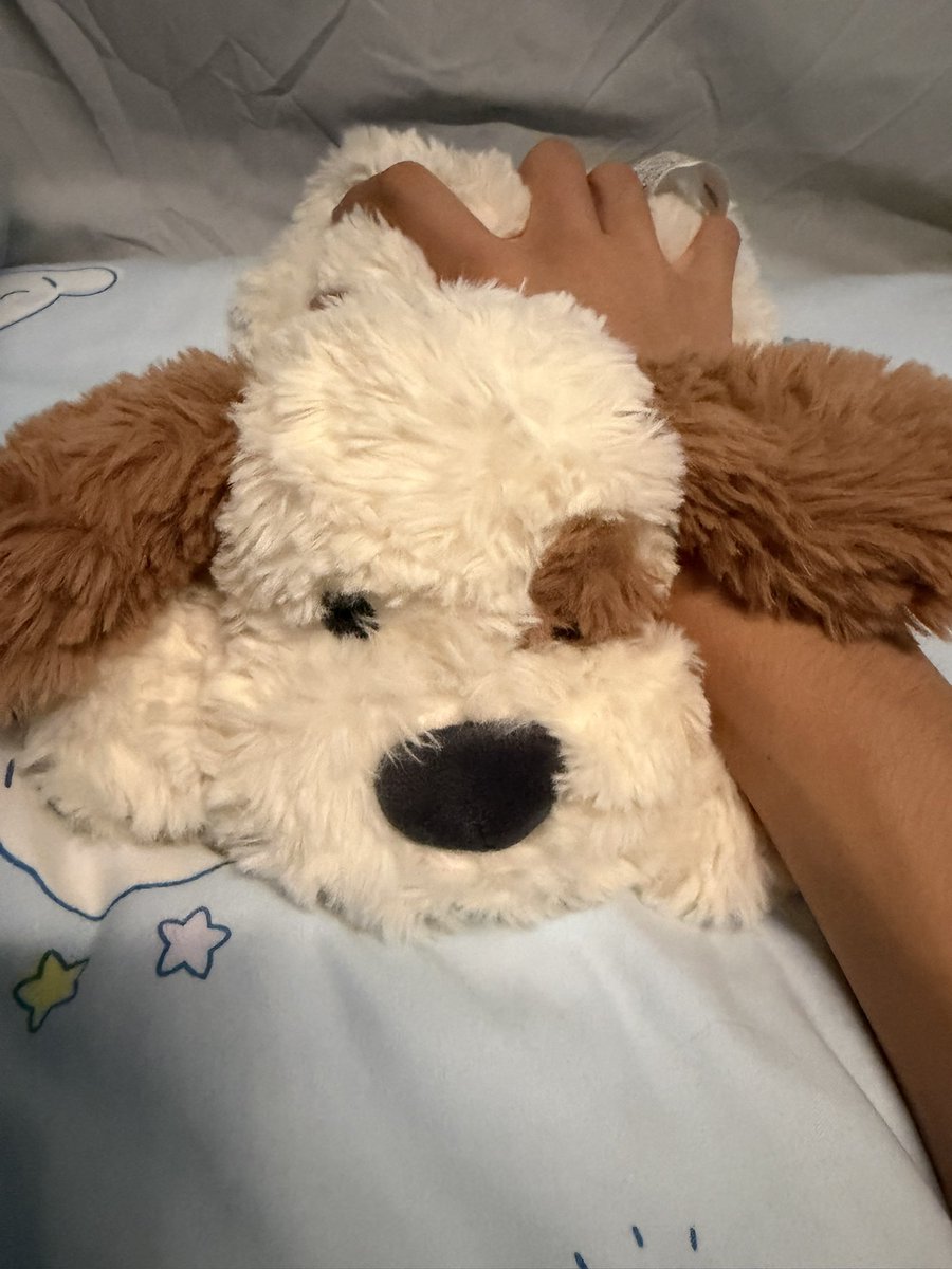 Dinnerbone520's tweet photo. 可怜的小狗…不过给小狗充完电之后会温柔地抱抱然后摸摸头～ #温柔 #主人 #小狗 #男S #调教 https://t.co/ZnNMnVV0j0