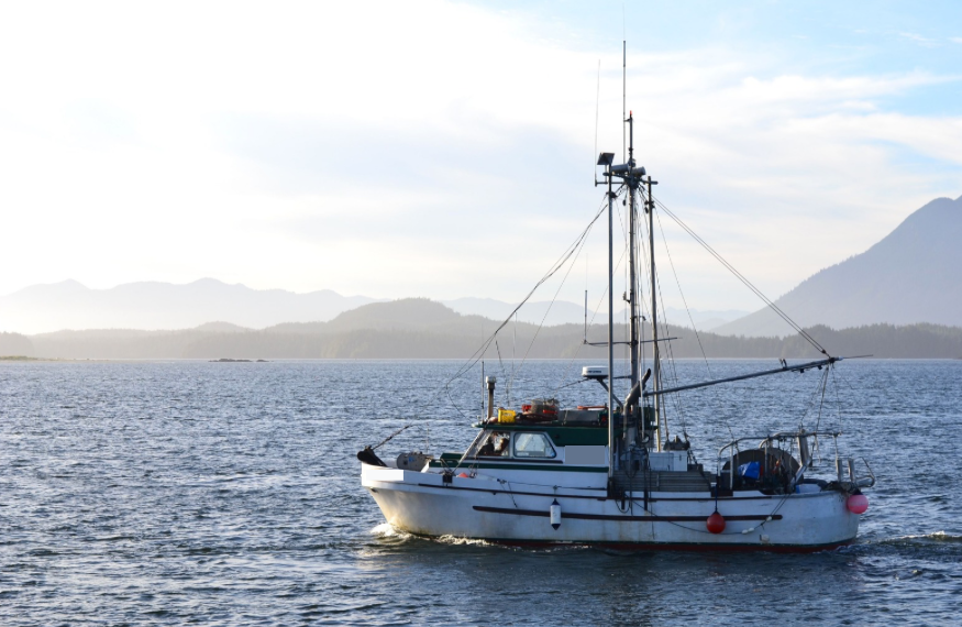 Hrvststrategies's tweet photo. Curious about what an #RFMO meeting is like? About what happened at the IATTC annual meeting in September? About a market perspective on using #MPs for fisheries management?
Check out this blog from Sea Pact to learn about all of this and more: https://t.co/yHG1Dz43cD https://t.co/AJQowL6jSZ