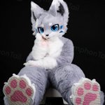 Photo by SymphonTail (@SymphonTail)