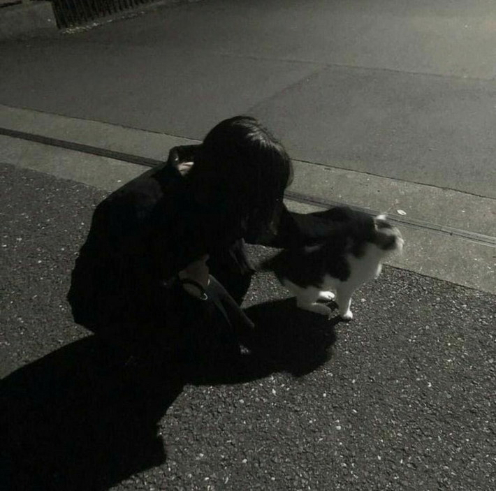 conchi6000's tweet photo. ねもいねー🥱
睡眠の秋🍂 https://t.co/cdpYVU5o0e