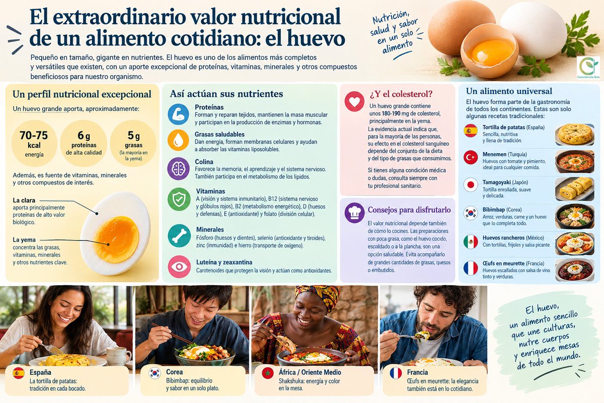 concienciaeco's tweet photo. Día Mundial del Huevo 2026: ¿Por qué el huevo es uno de los alimentos más completos? Nutrientes y recetas
https://t.co/fDyjuYhrlx
#medioambiente #DíaMundialdelHuevo #alimentación #nutrición #nutrientes #recetasdecocina #alimentaciónsaludable #salud #infografía #gastronomía https://t.co/VOcoUy5VAo