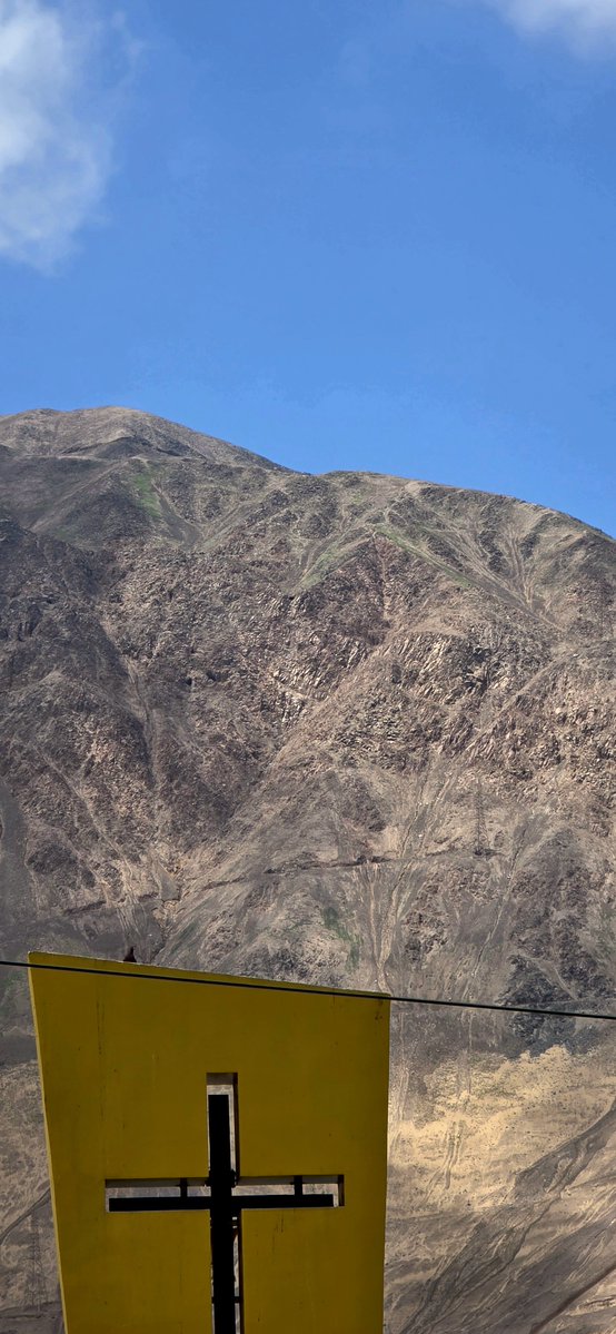 LMaluS18's tweet photo. Dentro de todo, es bonito poder apreciar parte del desierto florido en los cerros de #Iquique. 🌱🌼🌺 https://t.co/mymKUcZvm4