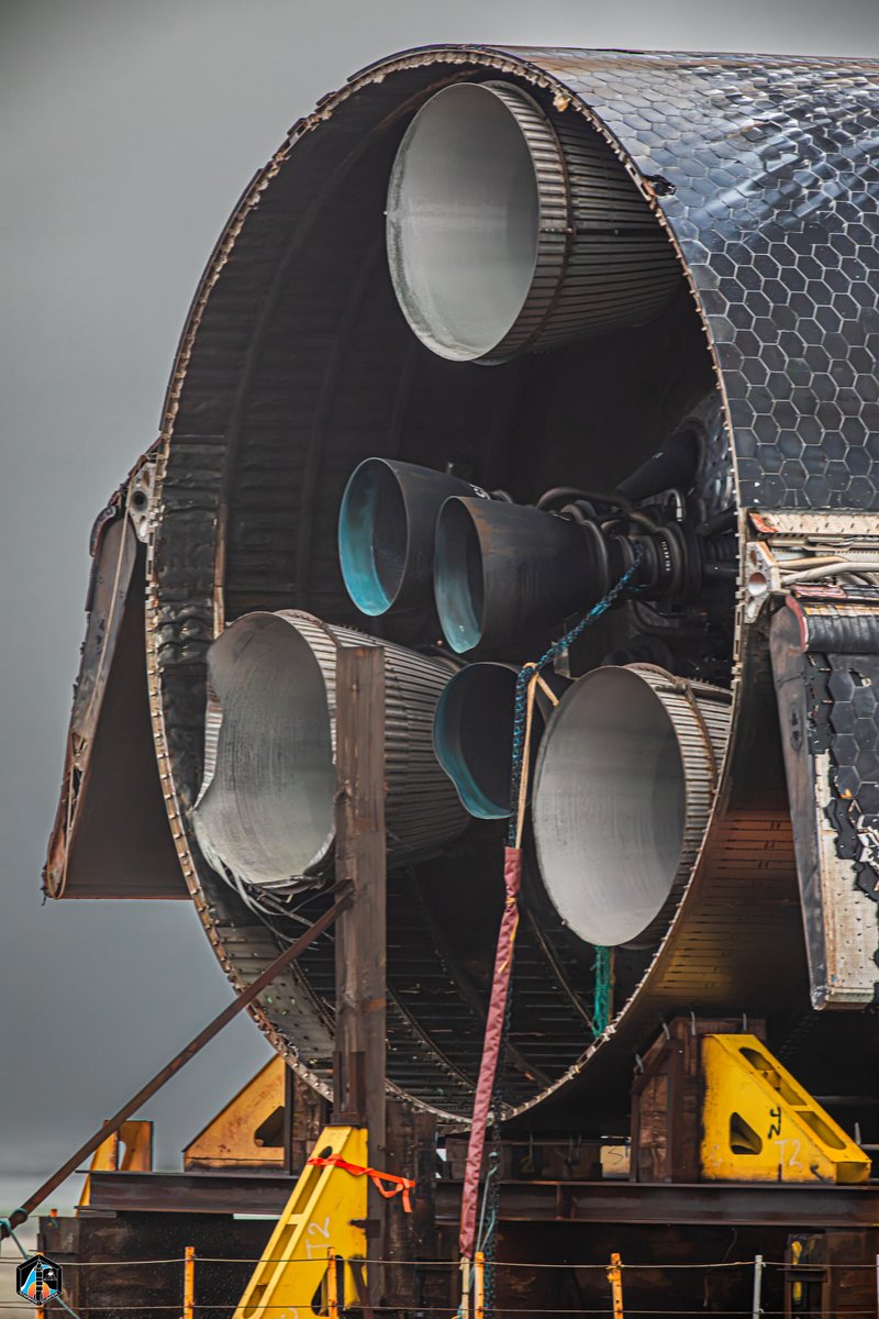 cnunezimages's tweet photo. The business end of 40 - October 7, 2026 https://t.co/ol5PNj1m4O