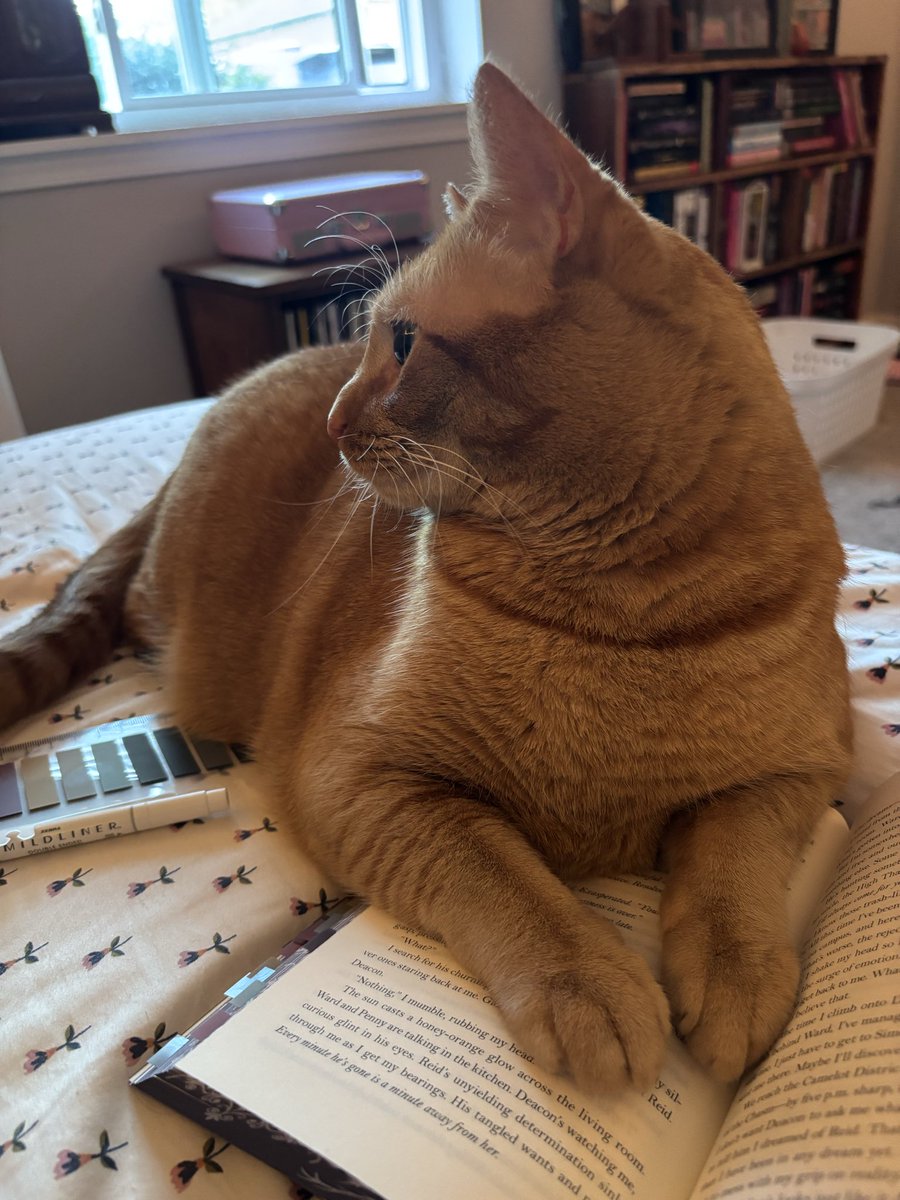 bookishfaes's tweet photo. he doesn’t even care that i’m trying to read https://t.co/IZKVlqffyn