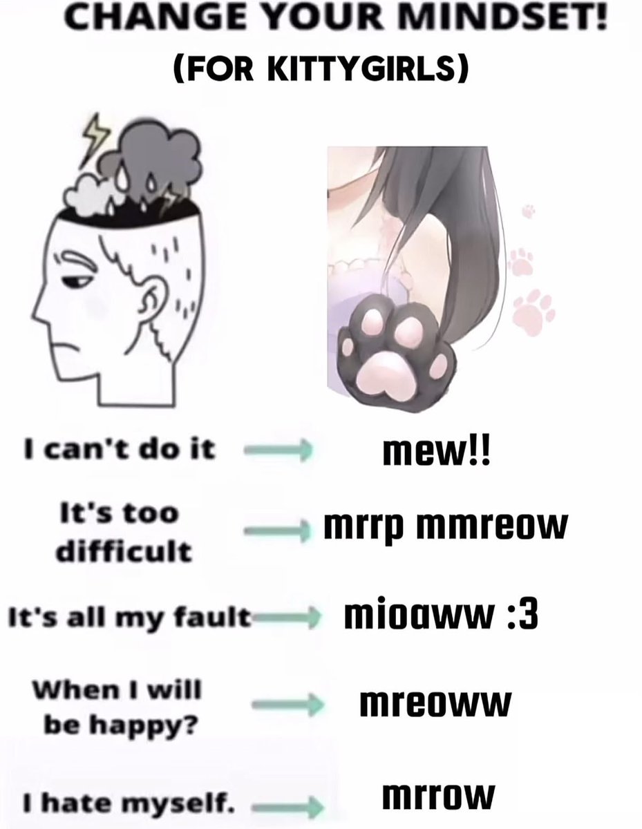 nmeowies's tweet photo. 🐾 https://t.co/tscUbWmV2C