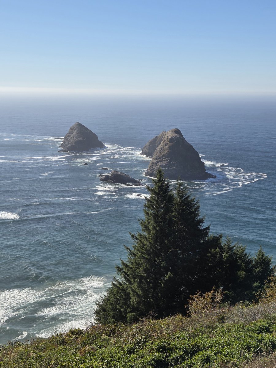 rodreed62's tweet photo. #BestCoast showing off today. 67 degrees and light wind 😎💪.  Oregon is the best place to be in early fall. https://t.co/QEfdNWdlej