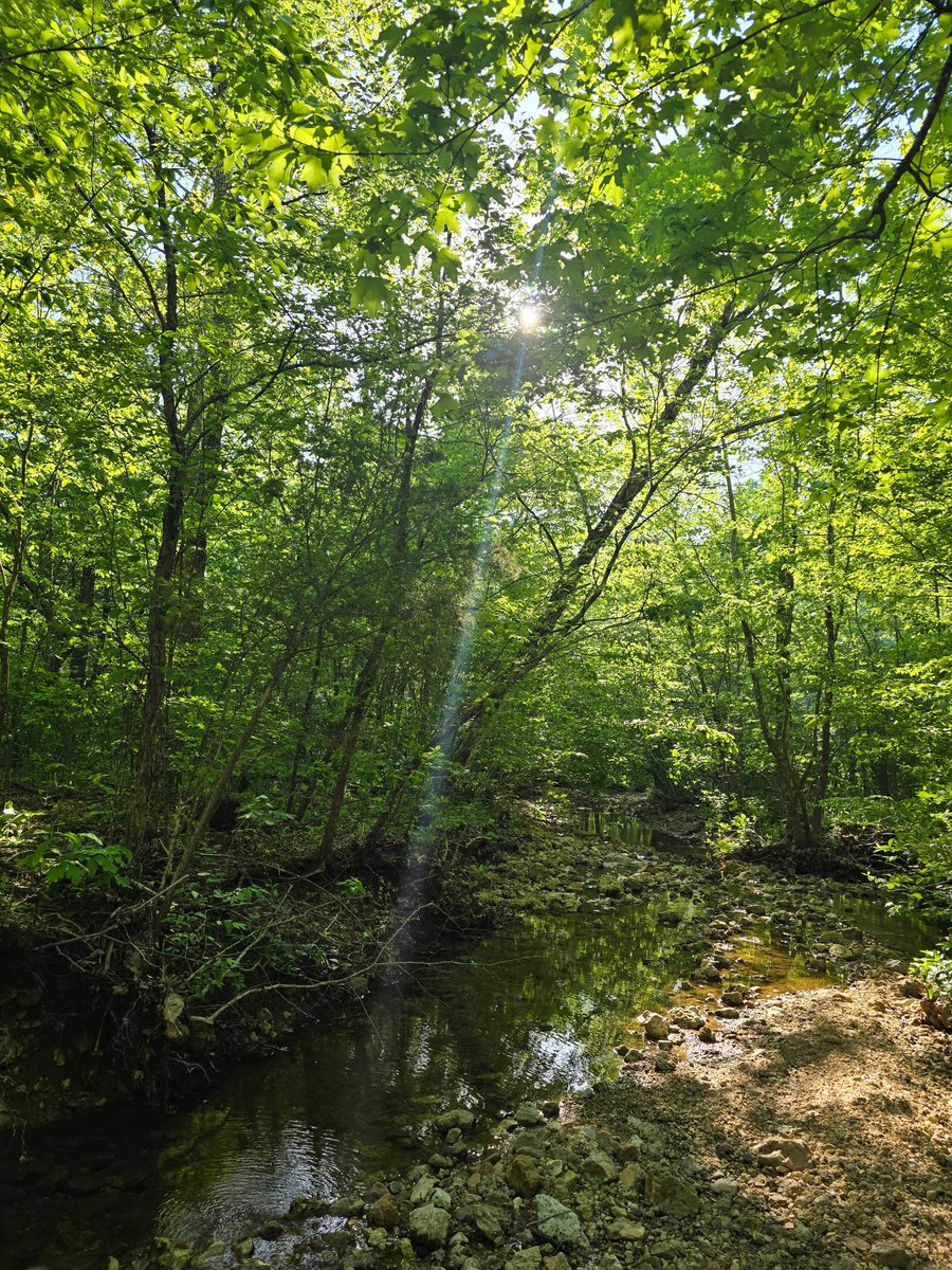 Missour_offgrid's tweet photo. 👑 Jesus is King
🔨 Building a Self-Sufficient Homestead, Learning off-grid prep.
📍 Ozarks https://t.co/9gQOPkxIDP