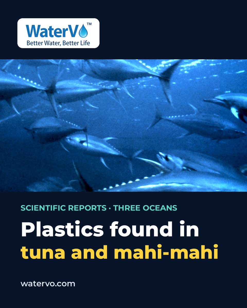 watervoGLOBAL's tweet photo. A new study found nano- and microplastics in tuna and mahi-mahi muscle across three oceans, led by polyethylene. It tested fish tissue, not drinking water. Shared by WaterVO founder Don DiCostanzo.
Read the full story: https://t.co/6cvAaKWL5o
#microplastics #nanoplastics https://t.co/rJtviUB6x2