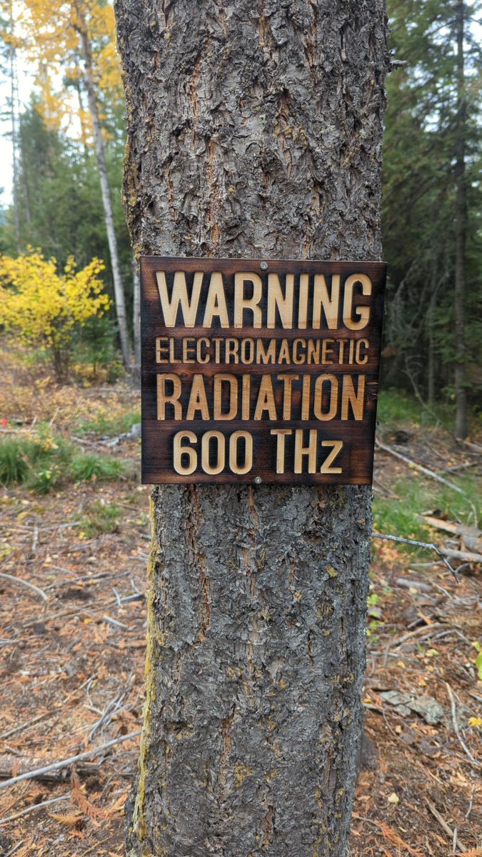 lcamtuf's tweet photo. It's shocking what two years of radiation exposure can do. https://t.co/24aQ8mPeEY