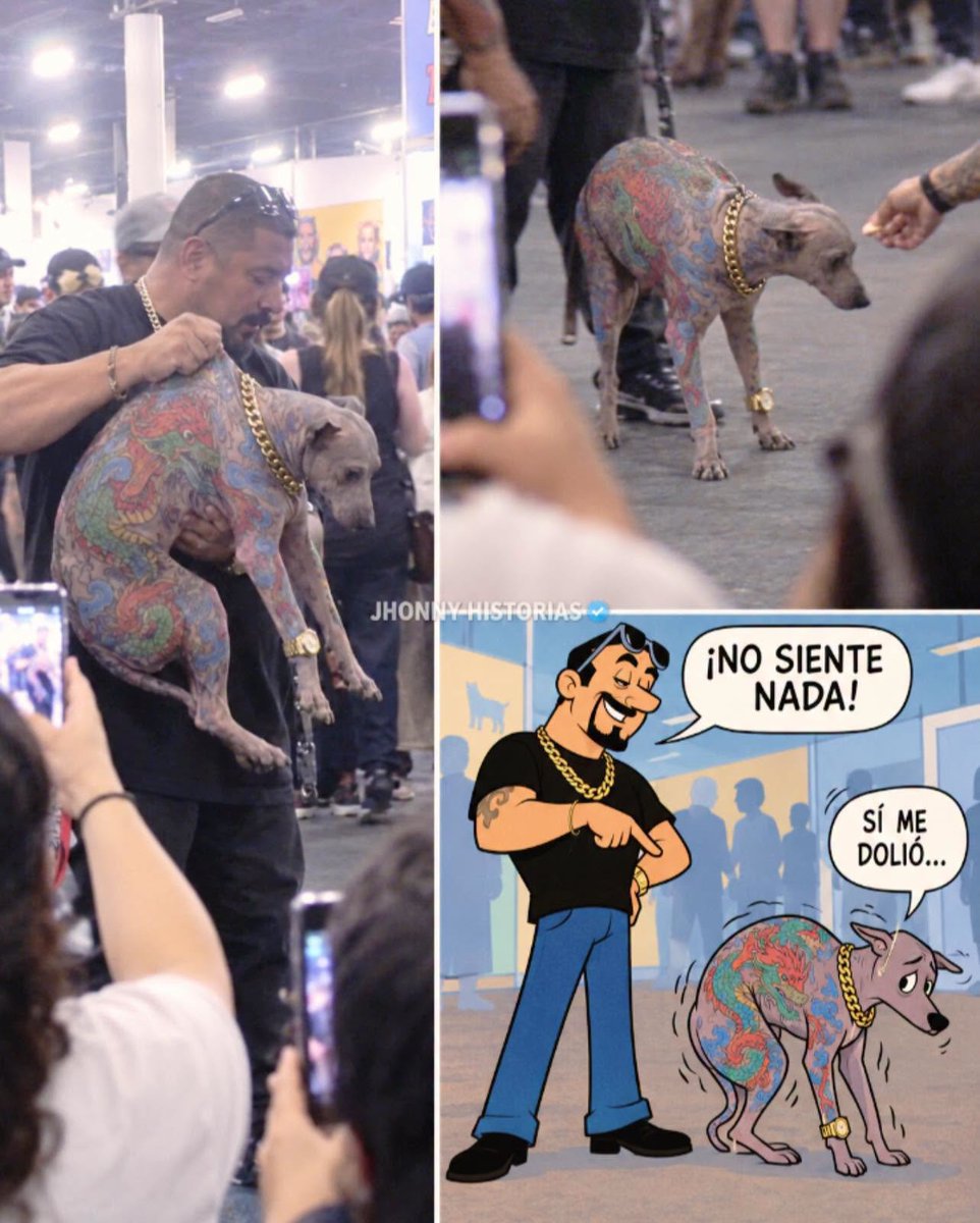 mascotamx's tweet photo. Un xolo, completamente tatuado, exhibido como atracción de feria, su dueño, orgulloso, dice que no sintió nada cuando lo tatuaron, ni anestesia usaron.🤬 https://t.co/9GTJSik97S