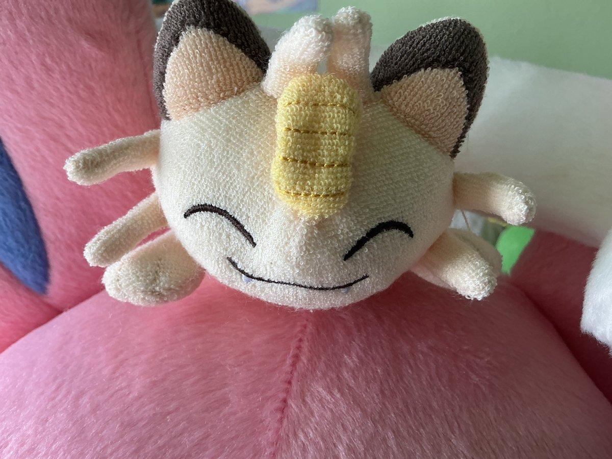 meowthrocket's tweet photo. dis lil’ mini me arrived at our doorstep today! (we stole ‘im) https://t.co/GO9L38X9CT