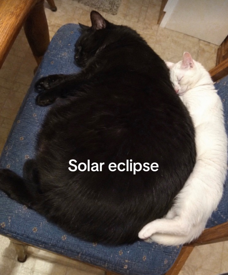 EvilPetaceta's tweet photo. The cutest solar eclipse 💙
#ivantill #ibannylove #alnst https://t.co/T2ohYODiNy