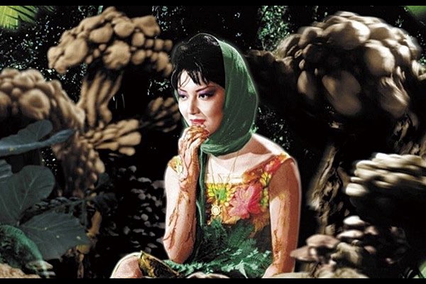 le6mai83's tweet photo. #学校で見せられた映画 
『マタンゴ』(1963)
生物の時間に観ました。いま思うと結構狂ってる先生だったなあww https://t.co/HQVt156sxR