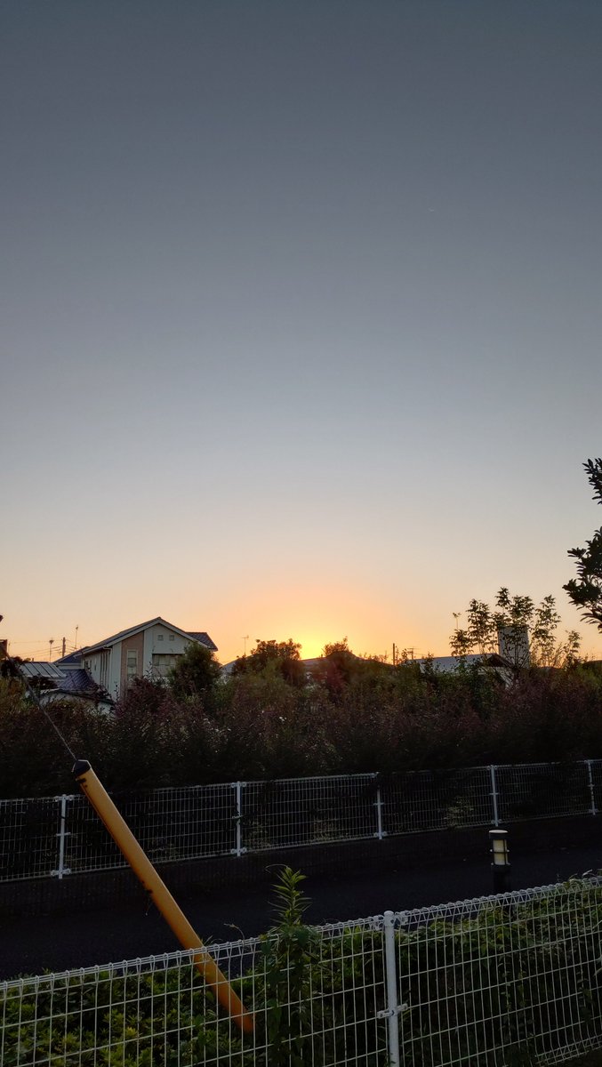 eikama's tweet photo. 2026年10月8日。木曜日。
二十四節気は寒露。
その通りに涼やかで清々しい朝。猫たちもみんなごきげんです。 https://t.co/mtr2zrfbHa