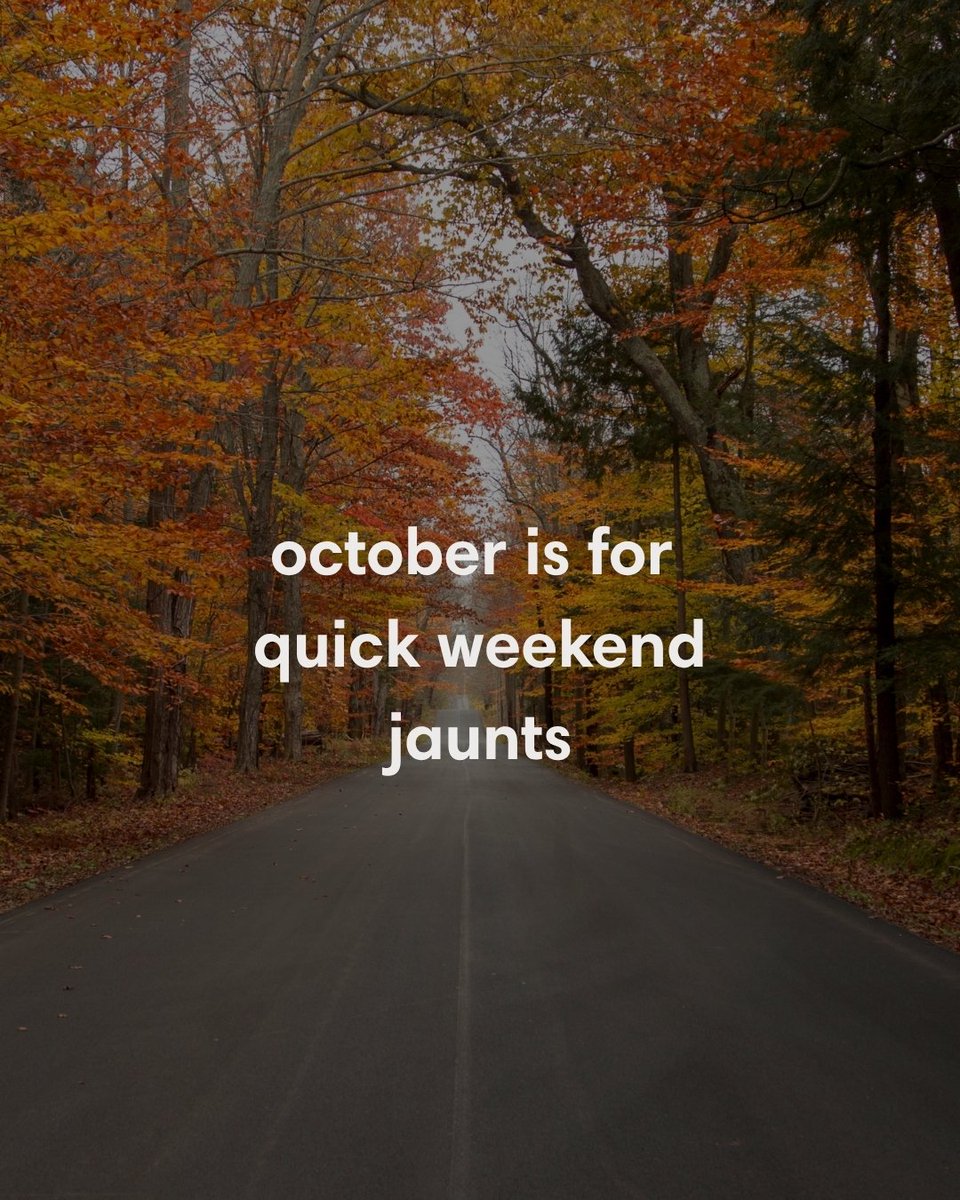 Solgaard_co's tweet photo. October is for...⁠
⁠
A last-minute weekend upstate. A dark little bar with good company. Staying in with something slightly unhinged on your screen.⁠
⁠
We can't tell you what to do. ⁠But we can tell you that fall is a vibe. And October perfectly encapsulates it.⁠
⁠
Where are you finding yourself this October? 🍂⁠
⁠
.⁠
⁠
#Solgaard #October #ImAnAutumn #FallVibes #HalloweenSeason
