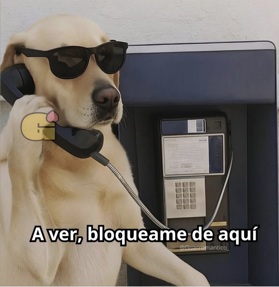 Guarromantico_'s tweet photo. A ver. https://t.co/WmCcUIShGy