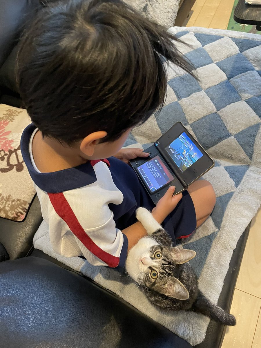 R453374510's tweet photo. 『保育園行くよ〜』が
何故か聞こえなくなっている四歳児と
そんな兄を擁護しているかのような弟猫 https://t.co/DYBVlJRcOW