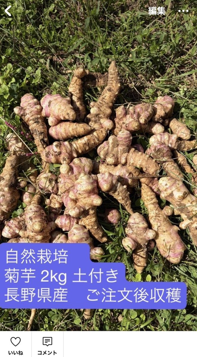 tamorifarm's tweet photo. 楽天ラクマで
田守ファームの菊芋販売スタートします。2kgの販売ですが、もっと欲しい方はDMまたは、ラクマからコメントくださいませ。
#菊芋
#野菜販売
 https://t.co/Jf7cXekGjY https://t.co/oAKgZ2NNQ7