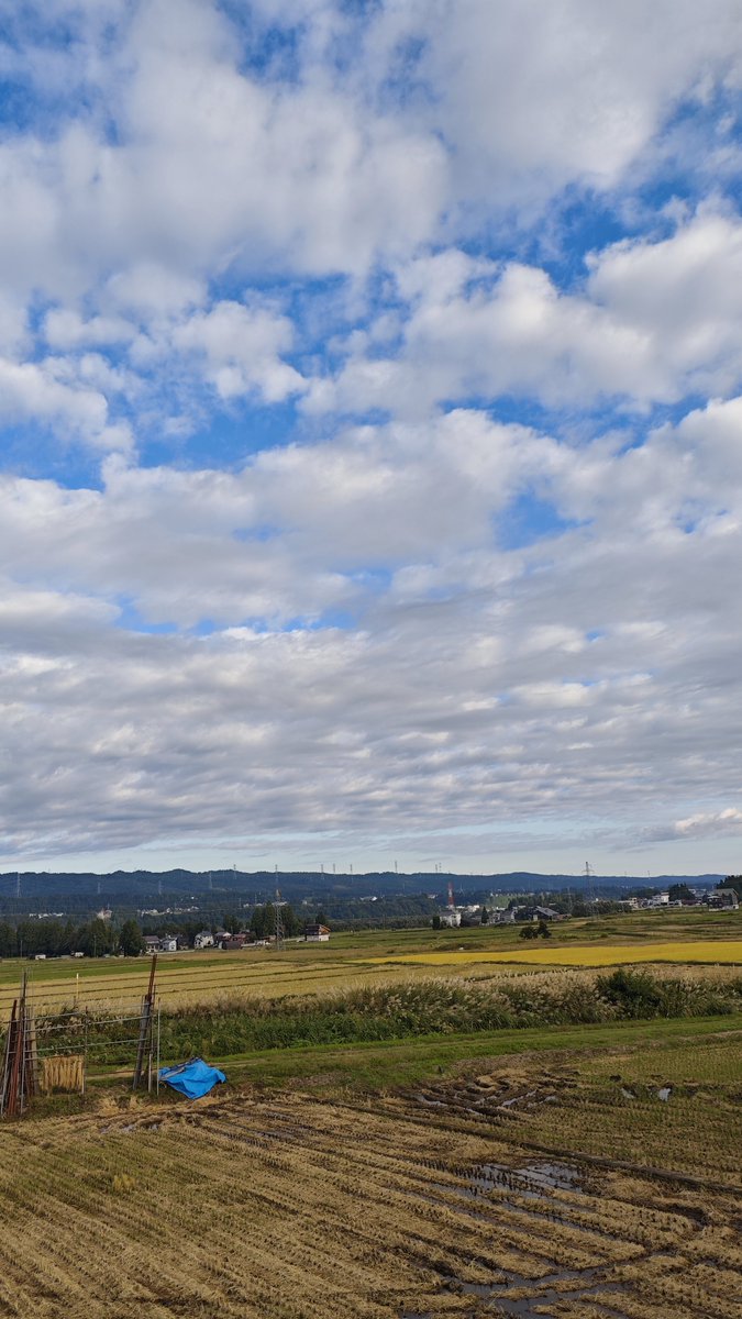 kainotorapong's tweet photo. 目まぐるしい雲の十日町市☁
晴れだと思ったら雲がやってきて
雲が来たと思えば消え去って
#hl775 https://t.co/M0PmPWUHCd