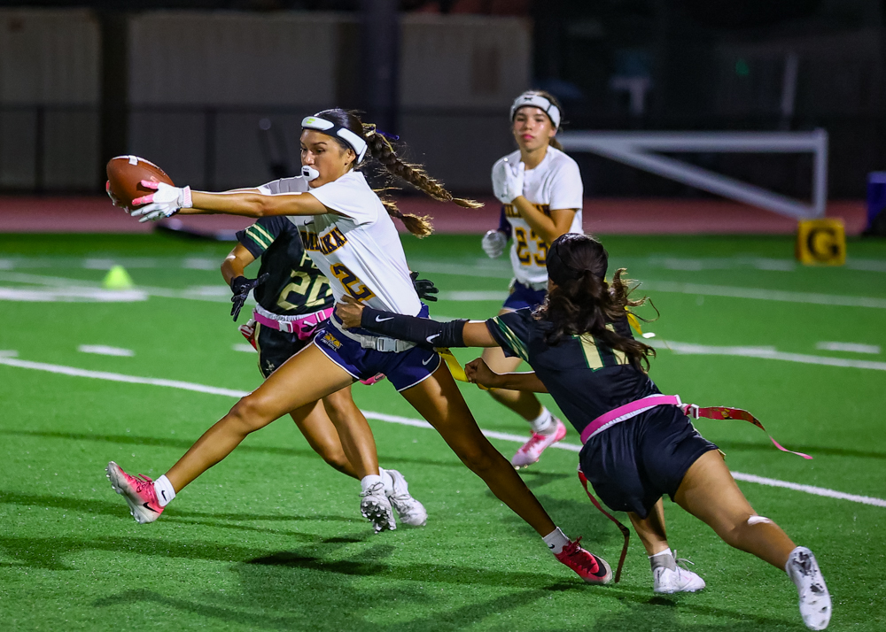 562sports's tweet photo. STANDINGS: Check out where all the Long Beach Flag Football teams are standing through another week of action.
https://t.co/B5AtktaMQc https://t.co/BykIGvGkL1