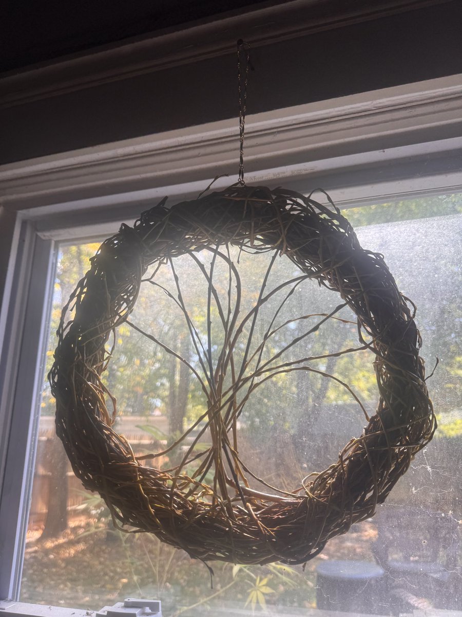 neelsnature's tweet photo. Tree Catcher / Dreamcatcher 🌳

From the fallen limbs of a willow https://t.co/fYDil9lHAA
