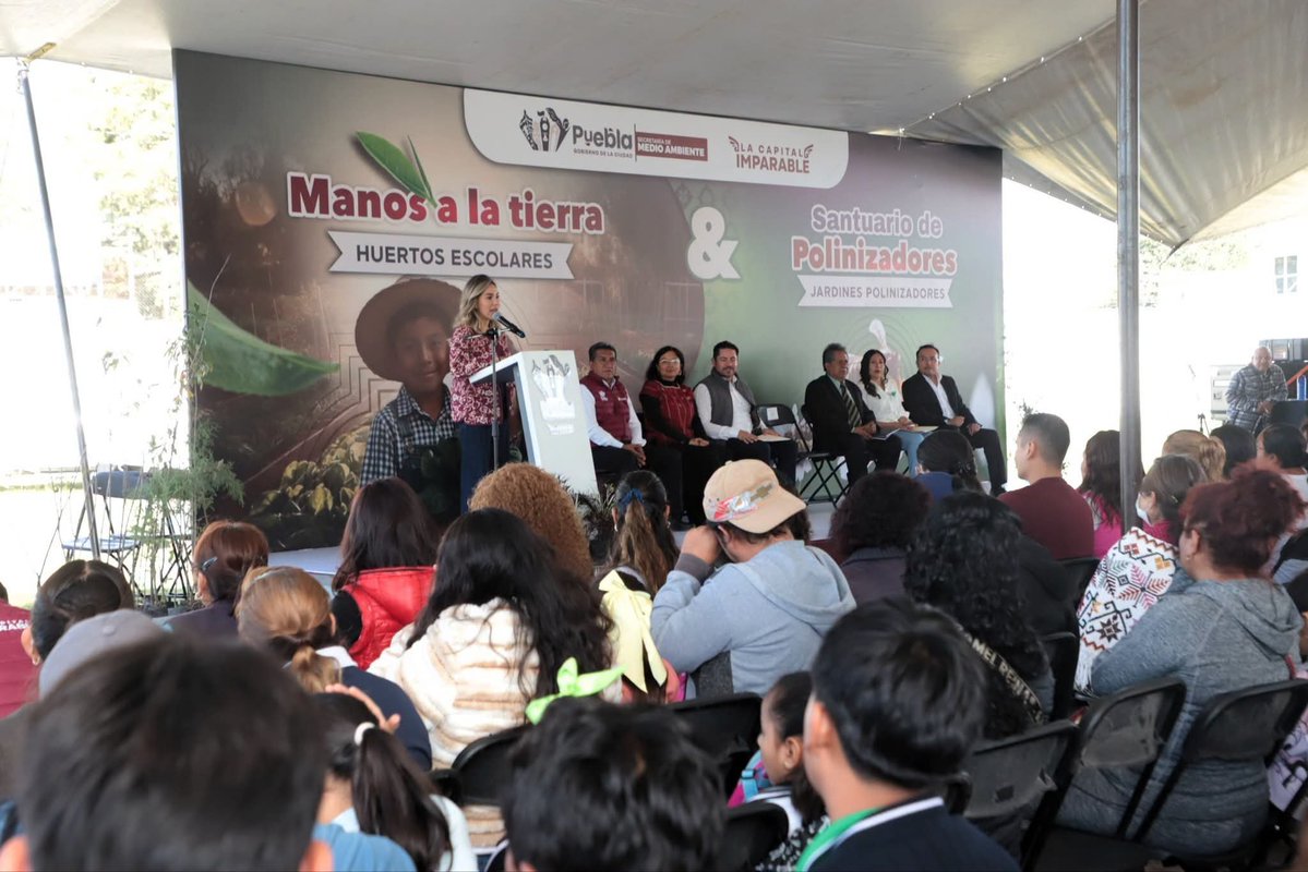 Mine_r5's tweet photo. @pepechedrauimx @AmbientePuebla @PueblaMujeres @PueblaBienestar @ZairaGlez6 Qué bueno que más escuelas puedan contar con estos espacios para aprender sobre la naturaleza. https://t.co/MxfMUTsqzd