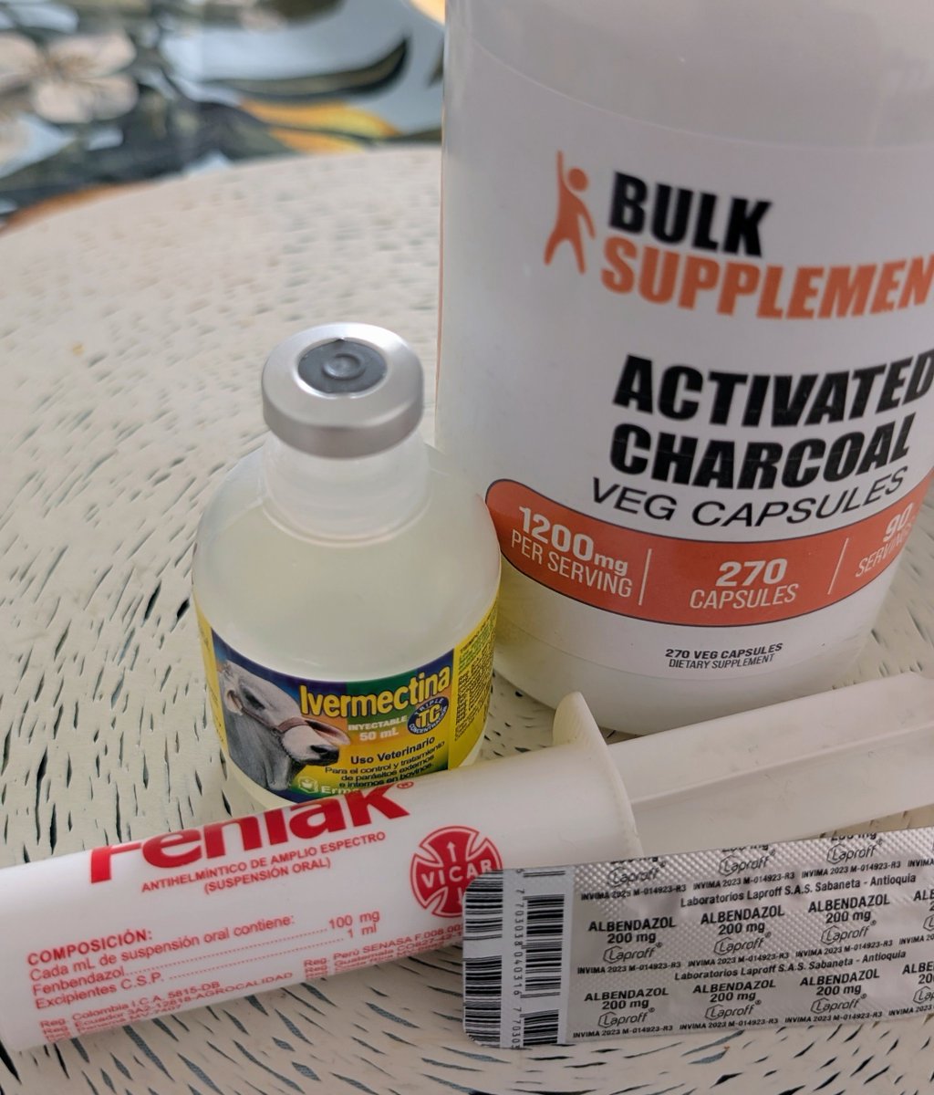 BowTiedArepa's tweet photo. Time for the quarterly worm detox.

Ivermectin 40mg x 14 days
Fenbendazol 200mg - 4on 3off x 14 days
Albendazol 400mg - same as Fenben
Charcoal as a dead critter binder

I live in the dirty south 
and eat dirty pigs.

Holler! https://t.co/W2Inpjn5Vk