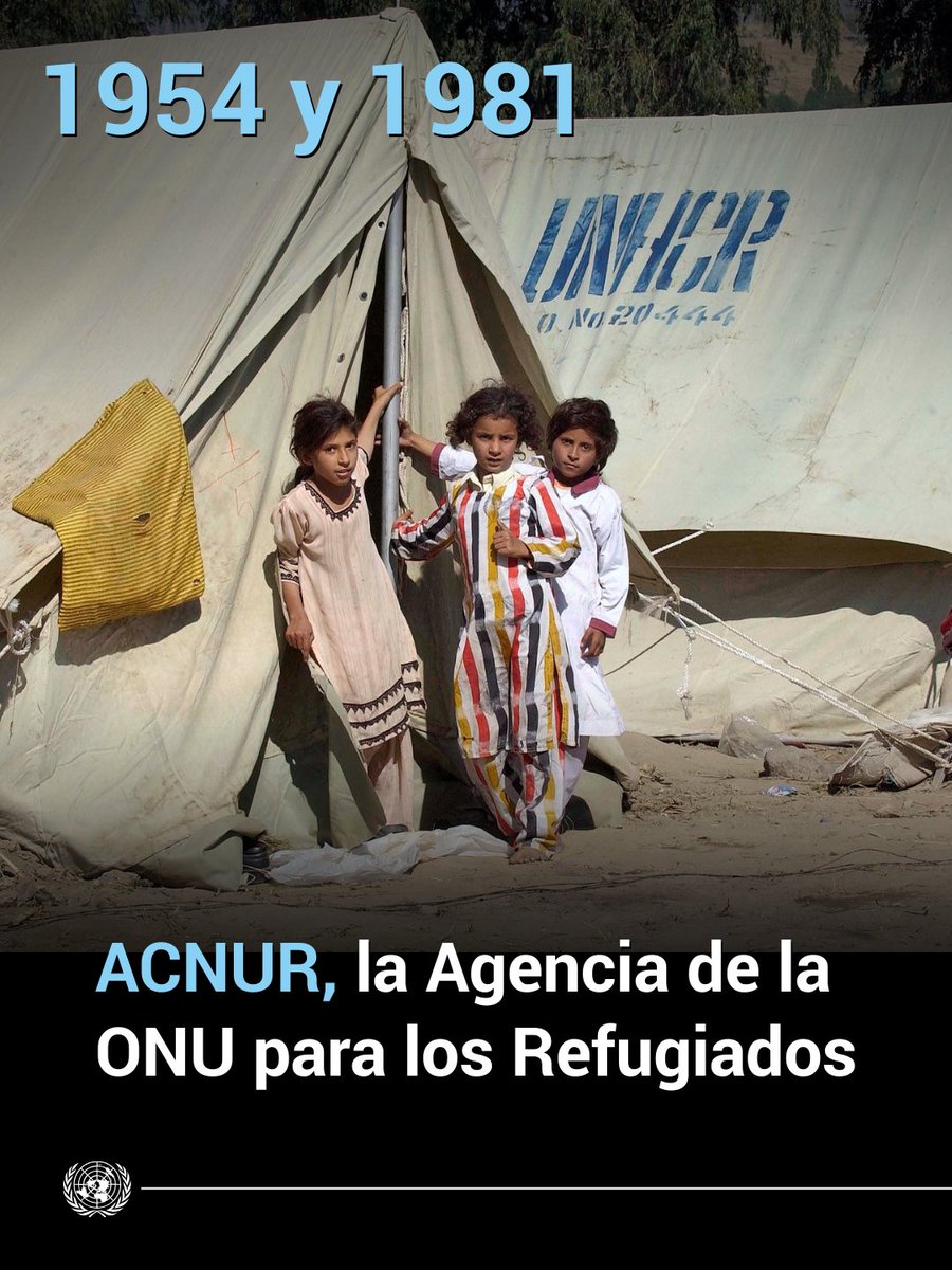 ONU_es's tweet photo. La ONU y su personal han sido reconocidos en varias ocasiones con el Premio Nobel de la Paz por su trabajo para prevenir conflictos, defender los derechos humanos y construir un mundo más justo.

Por su valentía y perseverancia en zonas de conflicto y en misiones humanitarias, varias agencias especializadas y personas que trabajaron con nosotros han sido reconocidas con el @NobelPrize.