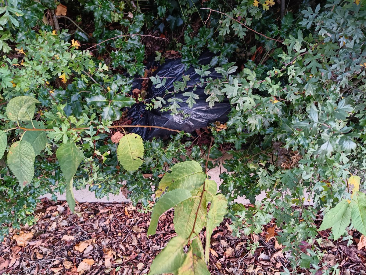 RestoreBrumS's tweet photo. Fly tipping threatens every nice spot or vacant space in Birmingham https://t.co/Y7cLoEkwkI