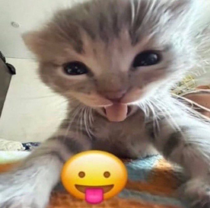 agentMINKY's tweet photo. @agentWONY Cantiknyaaaa. Tidurku nyenyak ini. https://t.co/PkY6uC6W5C