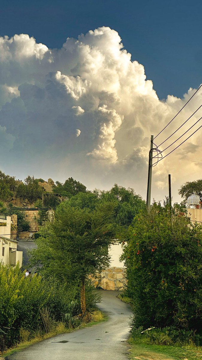 lluli__'s tweet photo. احلى فطور على احلى منظر ☁️ https://t.co/lWdVZ03A3r