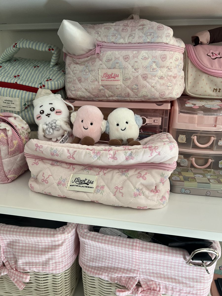 nyobody's tweet photo. organizing stuff while still keeping it cute is actually easy bc i buy one of these pouch things each month ☆ https://t.co/tIsxlTKQId