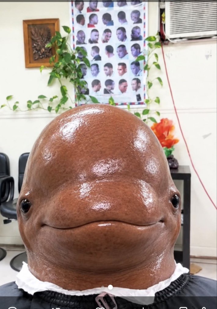 mamta_R_ku's tweet photo. The Barber's skills made this man look like an alien.. 👽 https://t.co/vegQKbIYIx
