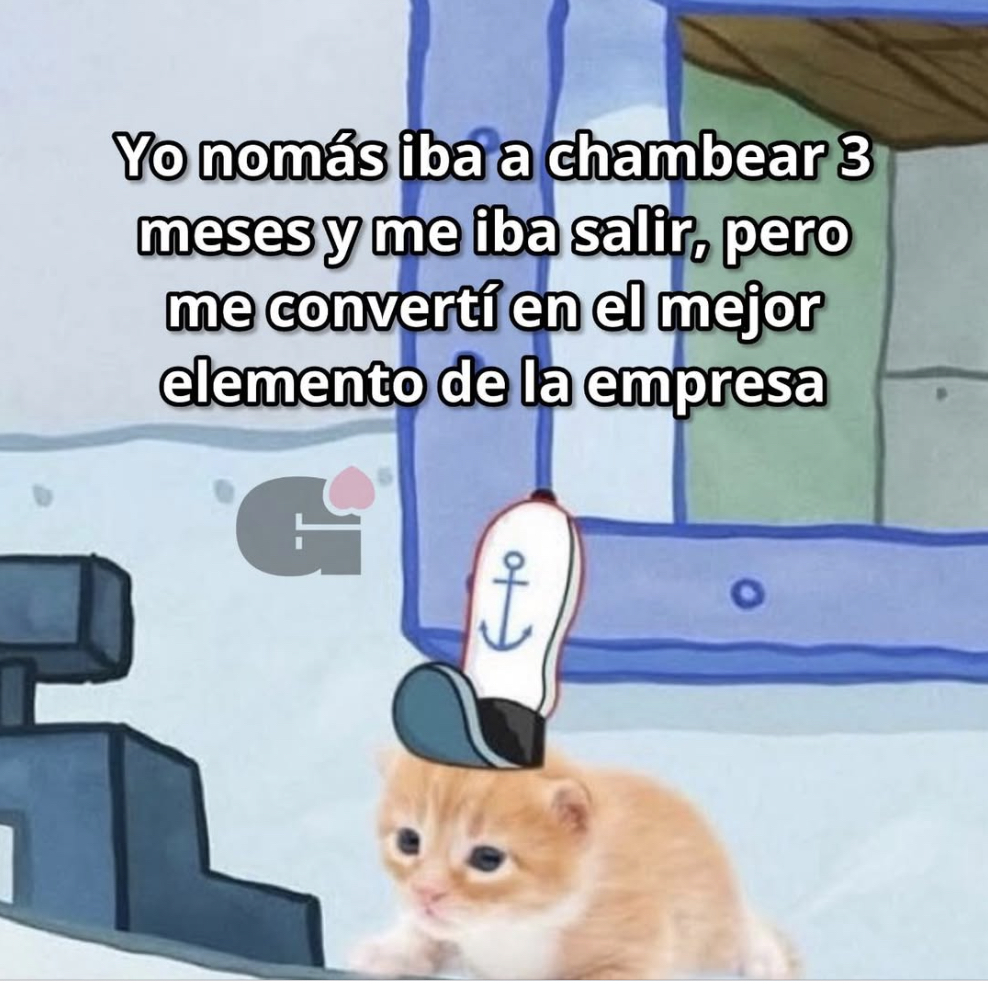 Guarromantico_'s tweet photo. Chambeador soy. https://t.co/k7nwQK6WjV