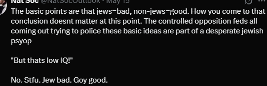 prussianbluetwo's tweet photo. I celebrate it because "Jew bad. Goy good." like this guy said here whoever he may be https://t.co/uDAgPJcdBX