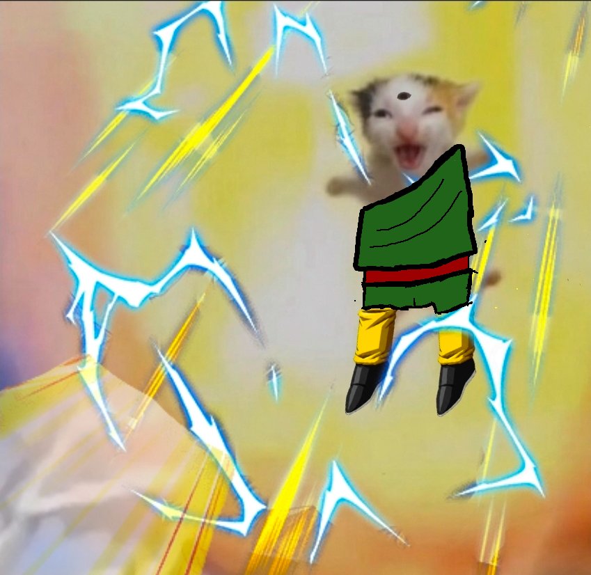 LrPhysRoshi's tweet photo. FUCK POWER LEVELS, FUCK SUPER SAIYANS, AND FUCK YOU 

KI-KO-HO!!!!! https://t.co/bXAkvuwbQT