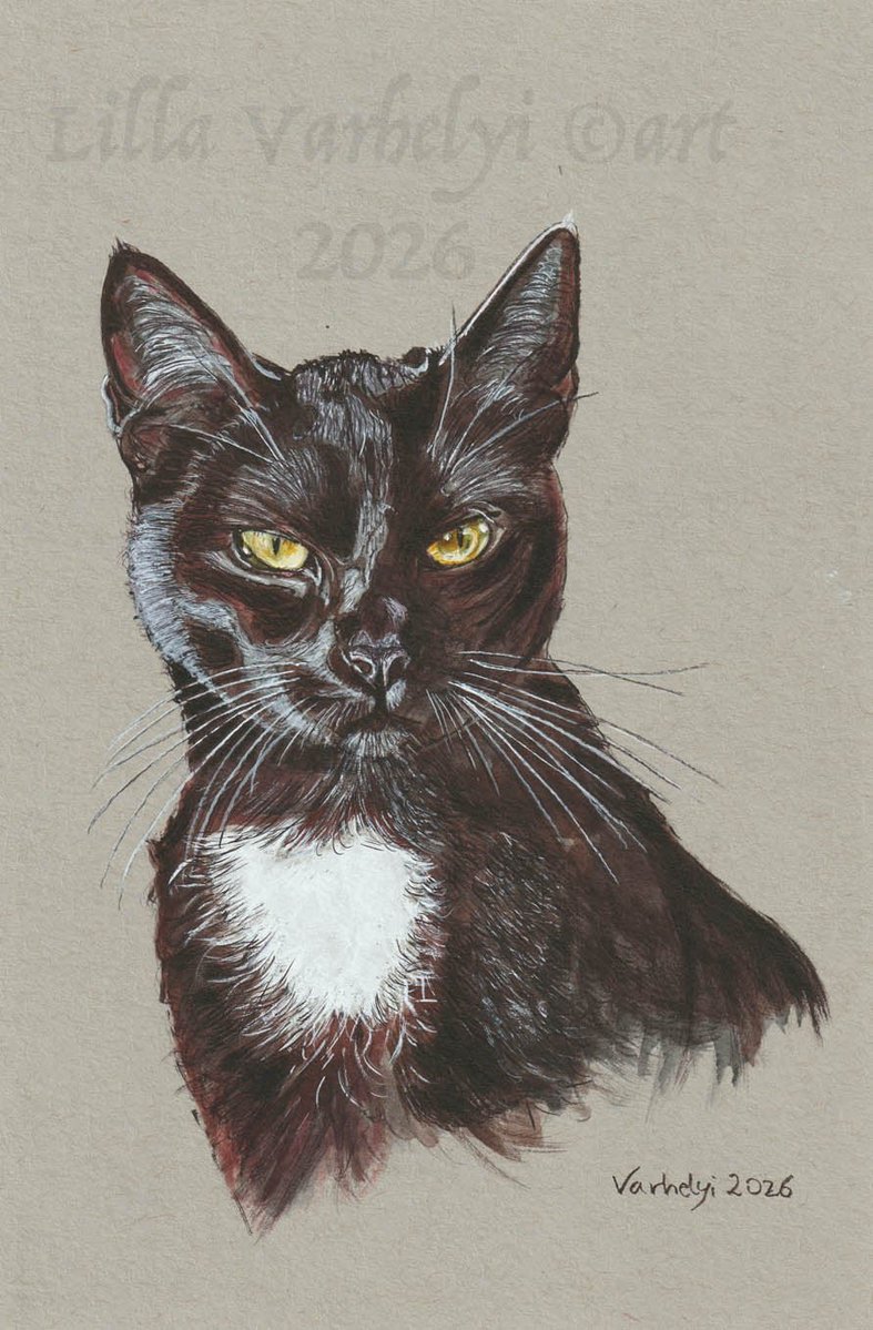 LillaVarhelyi's tweet photo. Eine neue schwarze SchΓΆnheit: PfefferπΎ
Tuschebild, 23x15 cm
Wer mΓΆchte ihm ein neues Zuhause geben?
New inkdrawing for Sale: Pepper πΊ
#catartwork #blackcatsclub #schwarzekatze #artforsalebyartist #inkdrawings
#katzenliebe #katzen #catlover #artforsale #catart #catpainting https://t.co/fBshu1amJi